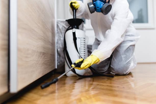 Best Exterminator Services  in Lakeview, OH