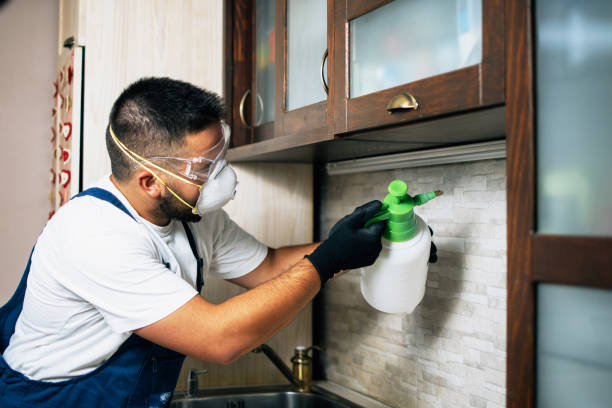 Best Best Pest Control Companies  in Lakeview, OH