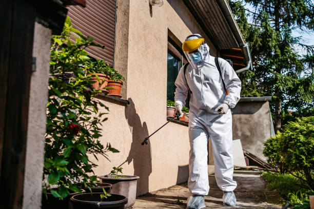 Best Emergency Pest Control  in Lakeview, OH