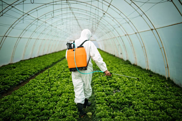 Professional Pest Control in Lakeview, OH