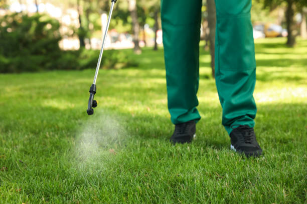 Best Best Pest Control Companies  in Lakeview, OH
