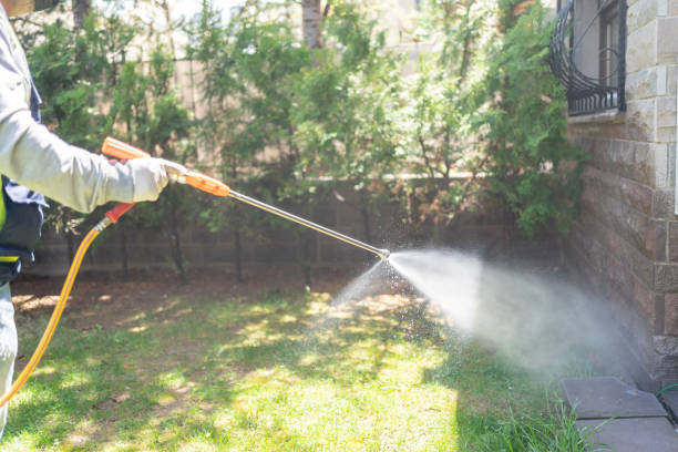 Best Mosquito Control Services  in Lakeview, OH