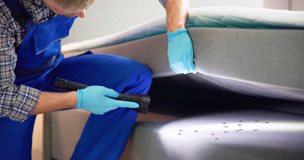 Best Commercial Pest Control Services  in Lakeview, OH