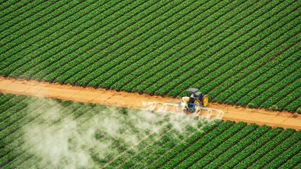 Best Ant Control Services  in Lakeview, OH