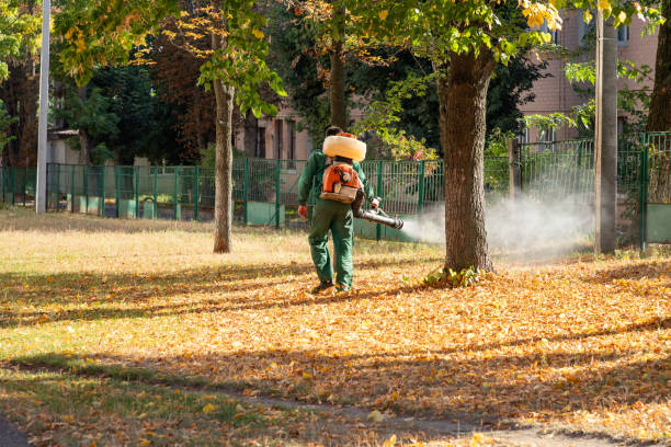Pest Prevention Services in Lakeview, OH