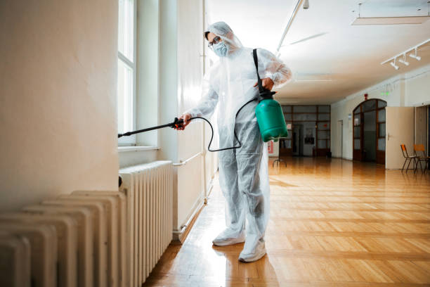 Best Emergency Pest Control  in Lakeview, OH