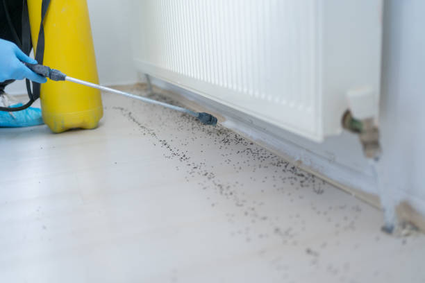 Pest Control for Restaurants in Lakeview, OH