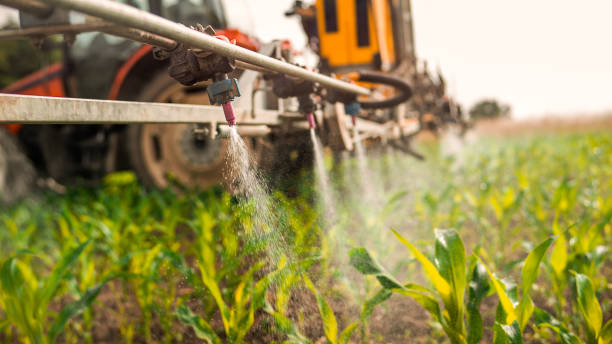 Best Mosquito Control Services  in Lakeview, OH
