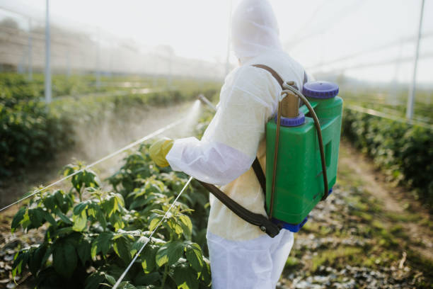 Best Affordable Pest Control Services  in Lakeview, OH